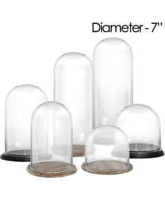 glass dome cloches 6 inches black brown base
