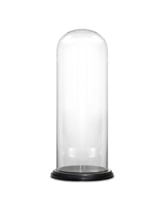 tall glass dome