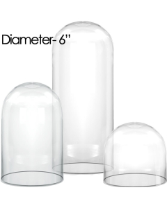 glass dome cloches