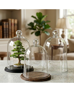 glass domes