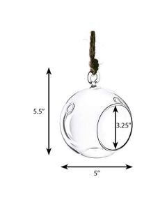 glass terrarium orbs