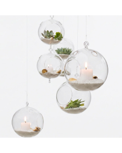 hanging glass terrarium orbs