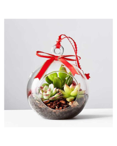 glass terrarium orbs