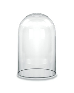Glass Dome Cloche Decorative Plant Terrarium Bell Jars H-10.5" x W-6" Clear 
