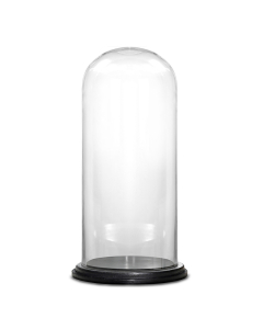 Decorative Glass Dome Cloche Plant Terrarium Bell Jars with Wood Base 15" x 7"
