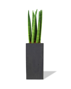 dark brown wood square planter box
