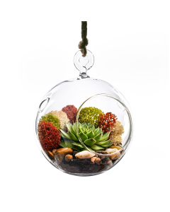 Glass Plant Terrarium Tealight Candle Holder 4.5" Clear