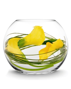 glass bubble bowls