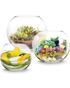 glass bubble fish bowl