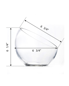 Glass Slanted Cut Asymmetrical Glass Bowl Vase Plant Terrarium Pod 