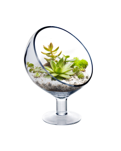Glass Slant Cut Short Stand Satellite Terrarium Bowl Candle Holder