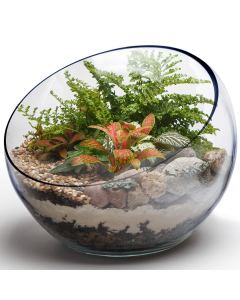 glass terrarium tilted slant cut bowl