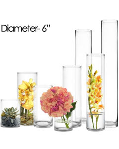 6 inches glass cylinder vases