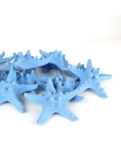3"-4" Baby Blue Knobby Horned Sea Star Vase Fillers
