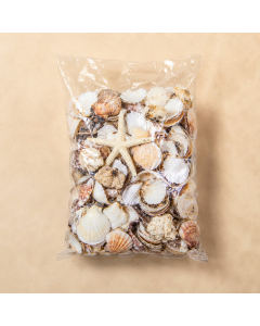 Mixed Sea Shells with Bleached Finger Starfish (19.8 lbs/Case)