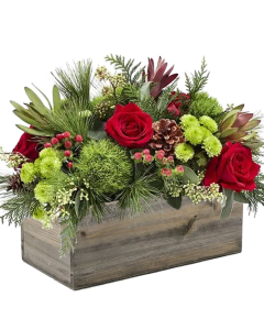 Rectangle Planter Wood Box with Plastic Liner 4" x 10" x 5"