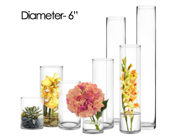 Glass Cylinder Vases with 6 Inches Diameter and Great Selection of