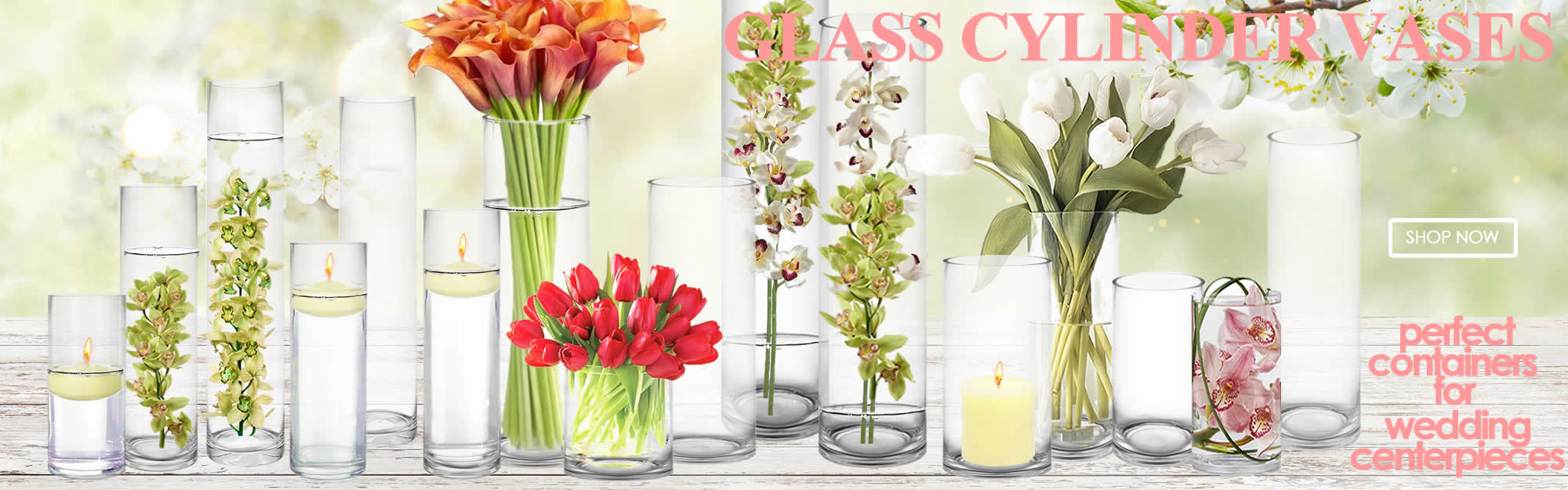 Glass Cylinder Vases