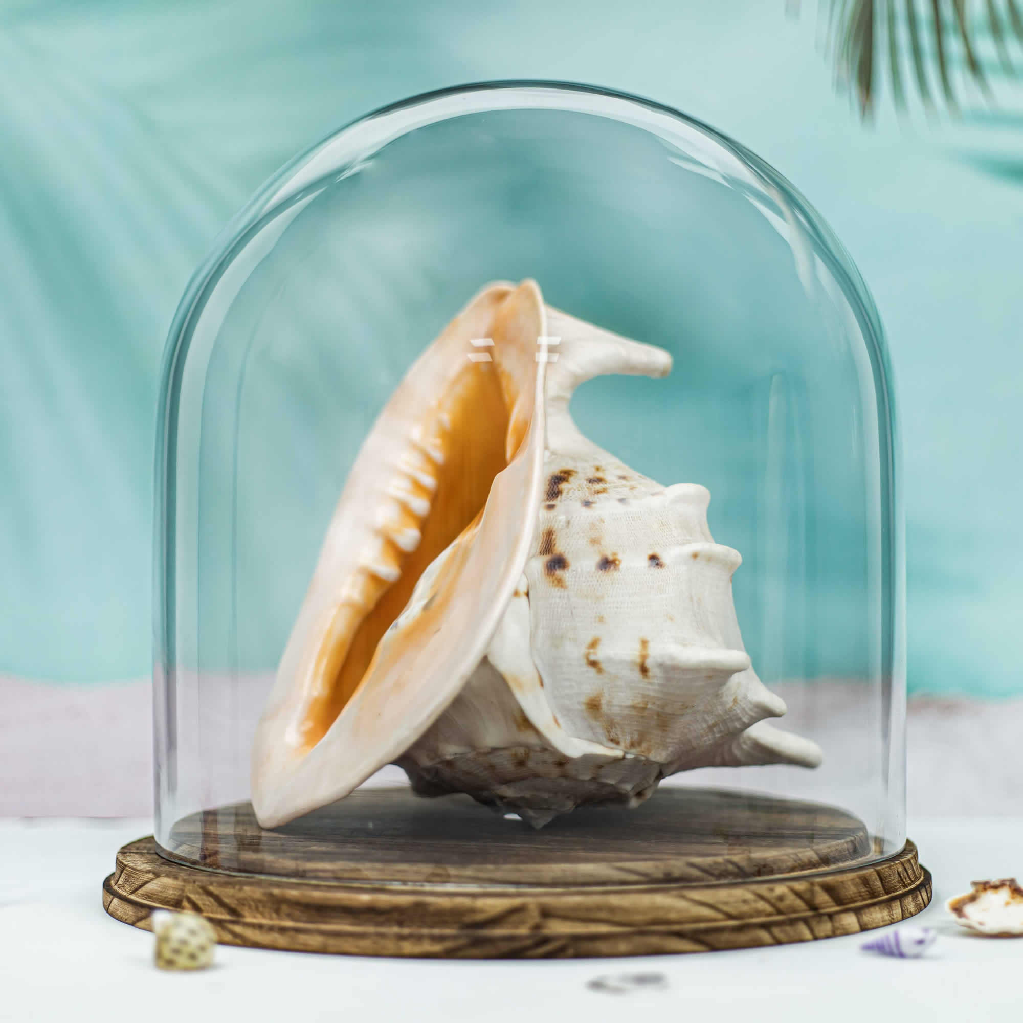 Why Glass Cloches and Domes Are the Décor Trend Everyone’s Embracing